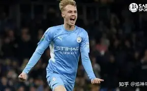 切尔西英超战胜狼队帕尔默关键助攻(切尔西英超死敌)